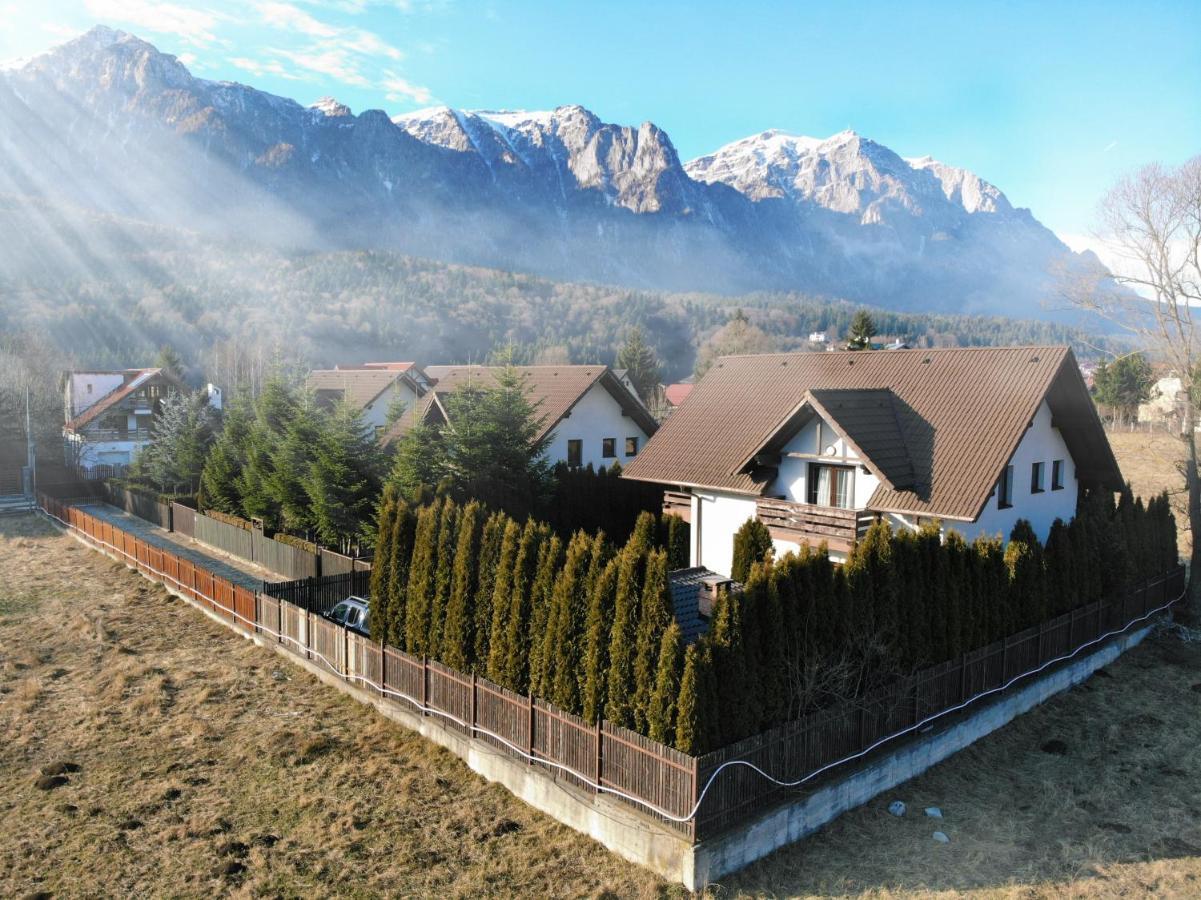 Jack Residence Buşteni Esterno foto